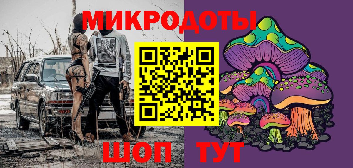 Псилоцибиновые грибы Psilocybine cubensis Муром
