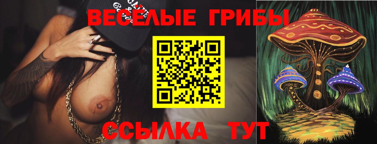 Псилоцибиновые грибы MAGIC MUSHROOMS  Вход с VPN  Галлюциногенные грибы мухоморы  Муром 